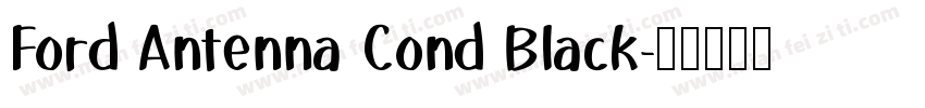 Ford Antenna Cond Black字体转换